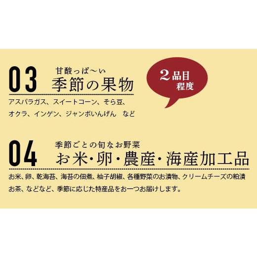 ふるさと納税 佐賀県 鹿島市 B-306 肥前の国の農産物大満足セット 【 野菜 卵 米 果物 新鮮 セット 詰め合わせ 産地直送 肥前 】｜furusatochoice｜06