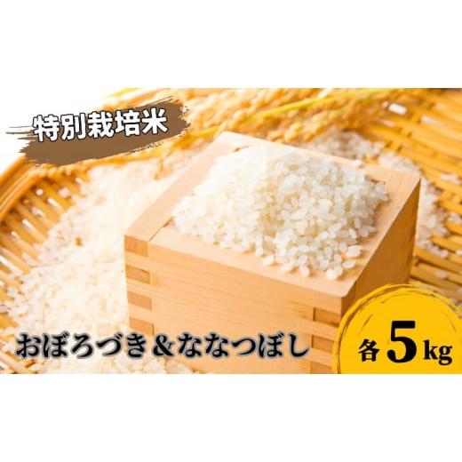 ふるさと納税 北海道 日高町 北海道日高[田中農園]おぼろづき&ななつぼし各5kgセット