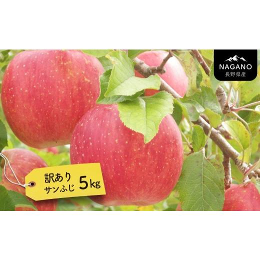 サンふじ訳あり 約5kg(8〜23玉)の返礼品写真