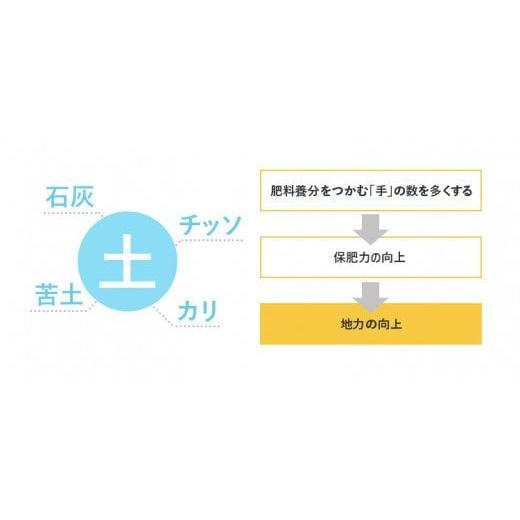 ふるさと納税 秋田県 由利本荘市 【白米】《定期便》 5kg×8回 令和5年産 あきたこまち 土作り実証米 合計40kg 秋田県産｜furusatochoice｜05