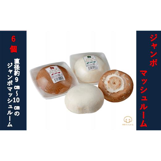 ふるさと納税 野菜類 きのこ 山形県 舟形町 舟形マッシュルーム