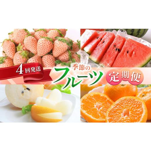ふるさと納税 果物の詰合せ 熊本県 玉名市  定期便 熊本人気フルーツ 玉名市産 春夏秋冬 に 合計4回発送 | フルーツ 果物 くだもの 人気フルーツ いちご 苺 ス…_1