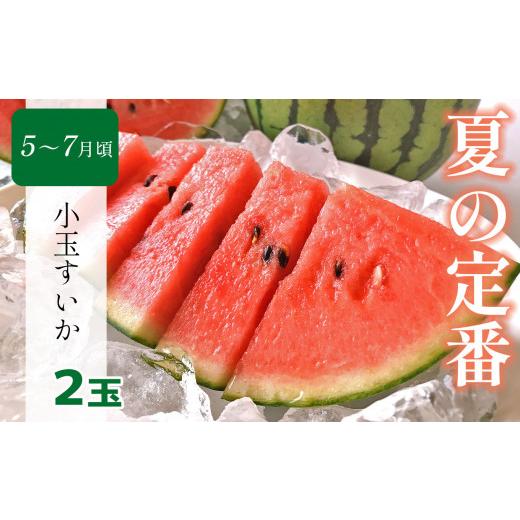 ふるさと納税 果物の詰合せ 熊本県 玉名市  定期便 熊本人気フルーツ 玉名市産 春夏秋冬 に 合計4回発送 | フルーツ 果物 くだもの 人気フルーツ いちご 苺 ス…_3