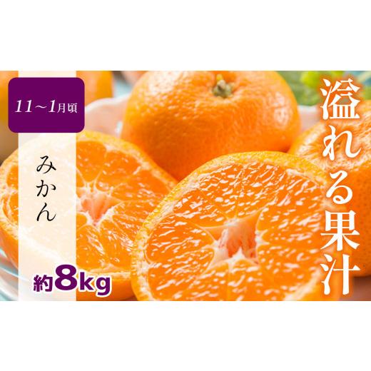 ふるさと納税 果物の詰合せ 熊本県 玉名市  定期便 熊本人気フルーツ 玉名市産 春夏秋冬 に 合計4回発送 | フルーツ 果物 くだもの 人気フルーツ いちご 苺 ス…_5