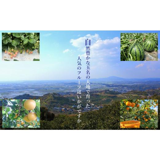 ふるさと納税 果物の詰合せ 熊本県 玉名市  定期便 熊本人気フルーツ 玉名市産 春夏秋冬 に 合計4回発送 | フルーツ 果物 くだもの 人気フルーツ いちご 苺 ス…_6
