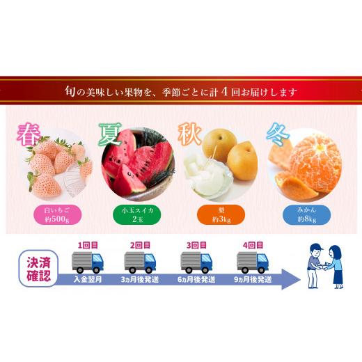 ふるさと納税 果物の詰合せ 熊本県 玉名市  定期便 熊本人気フルーツ 玉名市産 春夏秋冬 に 合計4回発送 | フルーツ 果物 くだもの 人気フルーツ いちご 苺 ス…_7