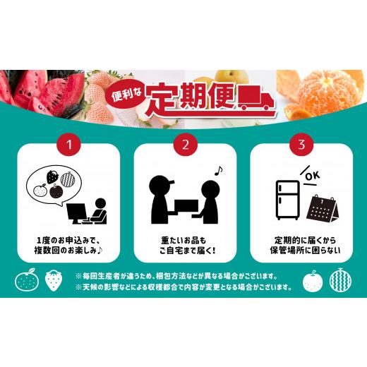 ふるさと納税 果物の詰合せ 熊本県 玉名市  定期便 熊本人気フルーツ 玉名市産 春夏秋冬 に 合計4回発送 | フルーツ 果物 くだもの 人気フルーツ いちご 苺 ス…_8
