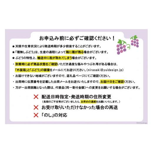 セールの通販 ふるさと納税 山梨県 韮崎市 【先行受付】季節のぶどう 3房 約2kg《8月中旬〜9月上旬お届け》 [Creation farm 山梨県 韮崎市 20742310] ぶどう ブドウ 葡萄 果…