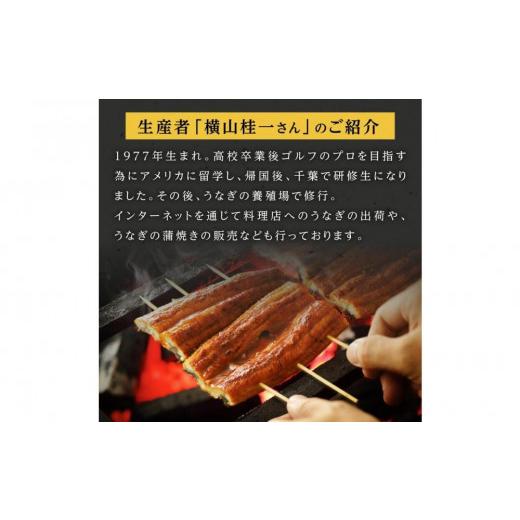 ふるさと納税 ウナギ 鹿児島県 大崎町 横山桂一さんのS級鰻 大15尾（2.25kg）