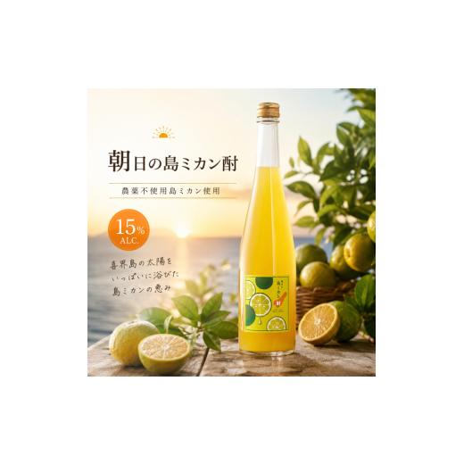 ふるさと納税 洋酒・リキュール類 鹿児島県 喜界町 数量限定 朝日の島ミカン酎