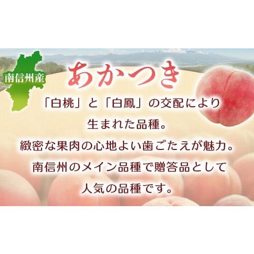 ふるさと納税 もも 長野県 豊丘村  2026年発送先行予約 桃 あかつき 約5kg 小玉 20〜22玉   2026年7月下旬〜8月初旬発送予定の画像