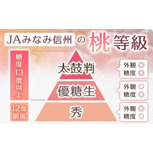 ふるさと納税 もも 長野県 豊丘村  2026年発送先行予約 桃 あかつき 約5kg 小玉 20〜22玉   2026年7月下旬〜8月初旬発送予定の画像