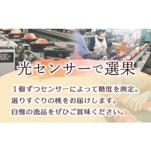 ふるさと納税 もも 長野県 豊丘村  2026年発送先行予約 桃 あかつき 約5kg 小玉 20〜22玉   2026年7月下旬〜8月初旬発送予定の画像