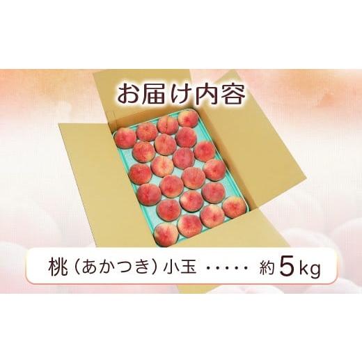 ふるさと納税 もも 長野県 豊丘村  2026年発送先行予約 桃 あかつき 約5kg 小玉 20〜22玉   2026年7月下旬〜8月初旬発送予定の画像