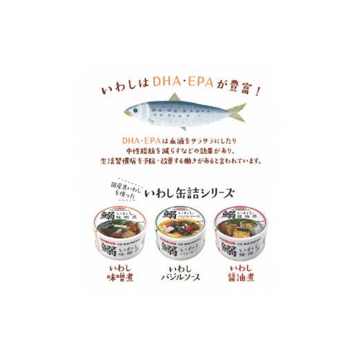 ふるさと納税 缶詰・瓶詰 魚貝類 宮城県 気仙沼市 いわし味噌煮 170g×24缶 DHA・EPA・長期保存可能 気仙沼市物産振興協会 宮城県 気仙沼市 20565211 魚介類 …_3