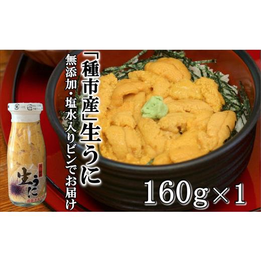 ふるさと納税 ウニ 岩手県 洋野町 「種市産」天然生うに 160g×1本 ミョウバン不使用 無添加 本州一 増殖溝 北三陸 塩水 牛乳瓶入り 雲丹