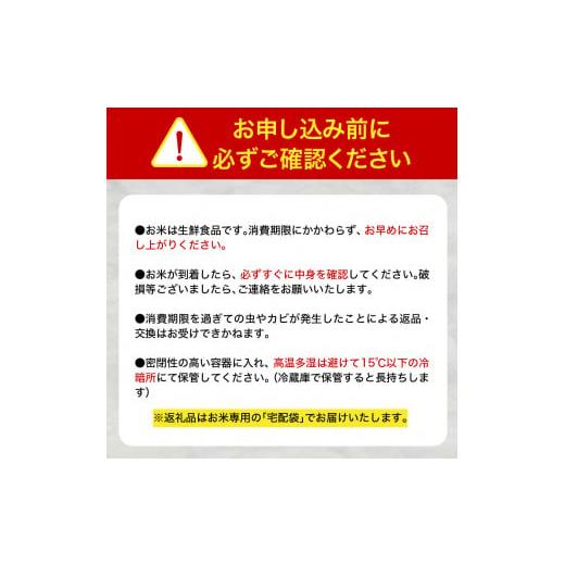 ふるさと納税 青森県 五所川原市 米 青天の霹靂 10kg 青森県産 【特A 8年連続取得 一等米】（精米・5kg×2袋）｜furusatochoice｜07