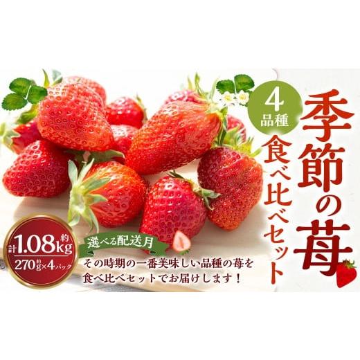 ふるさと納税 いちご 福岡県 うきは市 よかもんいちご 4品種食べ比べセット 2025年12月発送 いちご イチゴ 苺 4種 フルーツ 果物 贈答 贈り物 ギフト 九州 福…