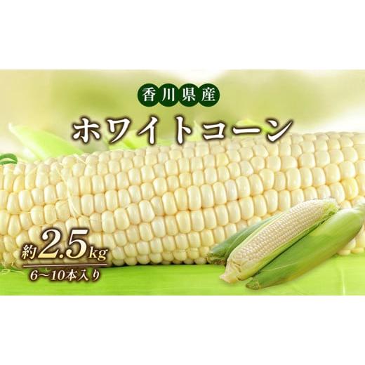 ふるさと納税 とうもろこし 香川県 東かがわ市   ホワイトコーン 約2.5kg 野菜 とうもろこし 野菜セット