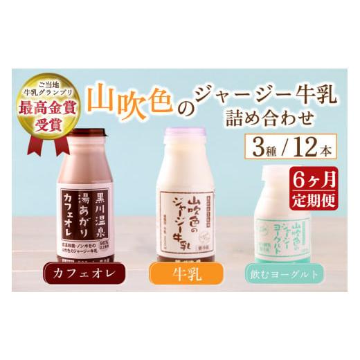 ふるさと納税 飲料類 牛乳 熊本県 南小国町 6ヶ月定期便 山吹色のジャージー牛乳 人気3種セット 6ヶ月 定期便 3種 12本 ジャージー牛乳 牛乳 飲むヨーグルト …