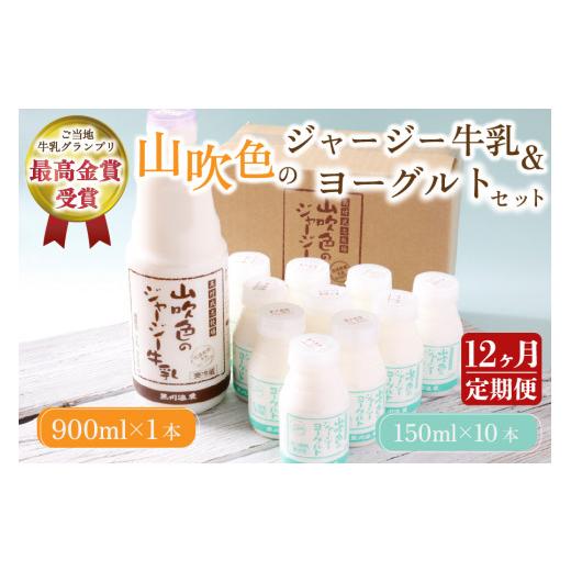 ふるさと納税 飲料類 牛乳 熊本県 南小国町 12ヶ月定期便 山吹色のジャージー牛乳・ヨーグルトセット 12ヶ月 定期便 黒川温泉 山吹色のジャージー牛乳 飲むヨ…