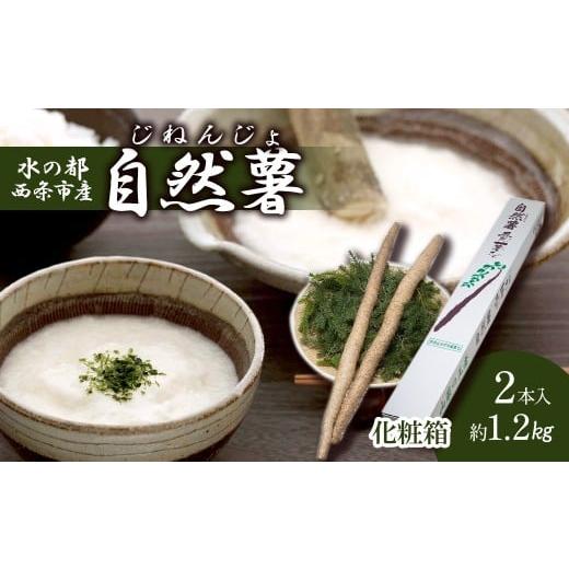 ふるさと納税 野菜類 愛媛県 西条市 自然薯「愛薯さん」 1.2kgセット 12月上旬〜発送 自然薯 とろろ じねんじょ 山芋 やまいも 野菜 健康 国産 愛媛県 西条…