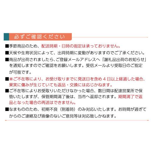 ふるさと納税 ぶどう マスカット 愛媛県 西条市 超大粒ぶどう 先行予約 愛媛・西条の完熟・朝摘み 黄金モッコ （雄宝）1kg 1房入り ｜ 2026年7月下旬〜8月上…の画像