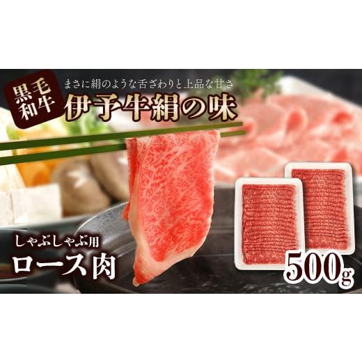 ふるさと納税 愛媛県 西条市 伊予牛絹の味 しゃぶしゃぶ用 ロース 500g (冷凍)