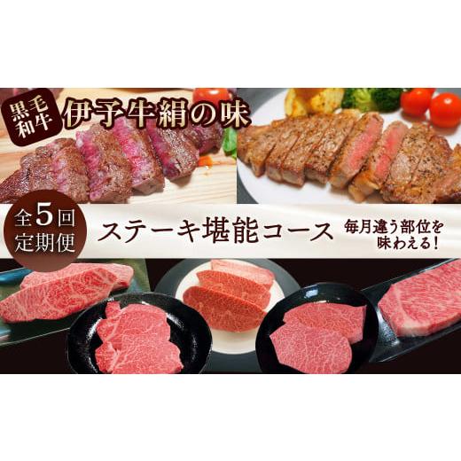 ふるさと納税 愛媛県 西条市 全5回定期便 [配送日時指定可・冷蔵]★ステーキ★ 伊予牛絹の味 ステーキ堪能コース (冷蔵) ※関東以北・沖縄へのお届けは冷凍…