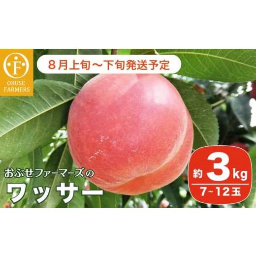 ふるさと納税 長野県 小布施町 ワッサー 約3kg 7〜12玉 [おぶせファーマーズ]果物 フルーツ クール便 冷蔵便 長野県産 信州産 令和6年産[2024年8月上旬〜下…