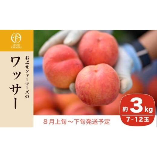ふるさと納税 もも 長野県 小布施町 ワッサー 約3kg 7〜12玉 ［おぶせファーマーズ］果物 フルーツ クール便 冷蔵便 長野県産 信州産 令和8年産 2026年8月上旬…の画像