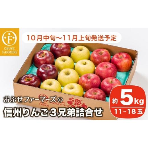 ふるさと納税 りんご 長野県 小布施町 信州りんご3兄弟詰合せ 約5kg 11〜18玉 [おぶせファーマーズ] りんご 林檎 リンゴ 果物 フルーツ 秋映 シナノスイー…