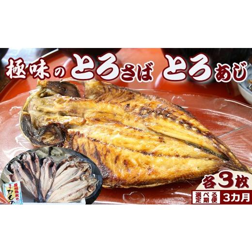 ふるさと納税 干物 サバ 千葉県 鴨川市 極味のひもの 脂の乗った『とろさば・とろあじ』干物 各3枚 選べる定期便3カ月[隔月] 0043-0002 隔月発送(2カ…