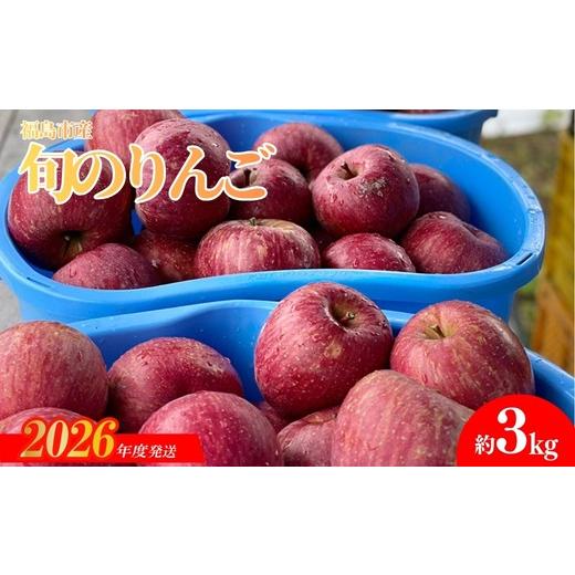 ふるさと納税 りんご 福島県 福島市 No.0145 あづま果樹園 ふくしま 旬のりんご 約3kg 2026年度発送