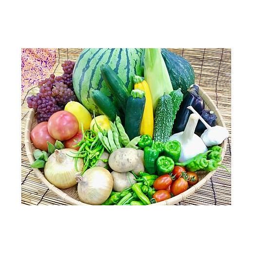 ふるさと納税 セット・詰合せ 奈良県 香芝市 野菜と果物セット 産地直送 新鮮とれたて旬の野菜＆季節のフルーツ 果実的野菜 (イチゴ・スイカ・メロン・まくわ…_1