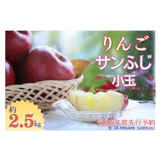 ふるさと納税 りんご 長野県 喬木村 8-J13 サンふじ(小玉)約2.5kg
