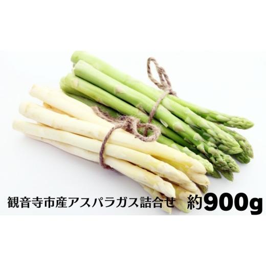 ふるさと納税 野菜類 アスパラガス 香川県 観音寺市 観音寺市産アスパラガス詰合せ 約900g