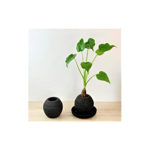 ふるさと納税 雑貨・日用品 愛知県 高浜市 アクアプラントポットHACHI「玉(キ゛ョク)」黒 黒