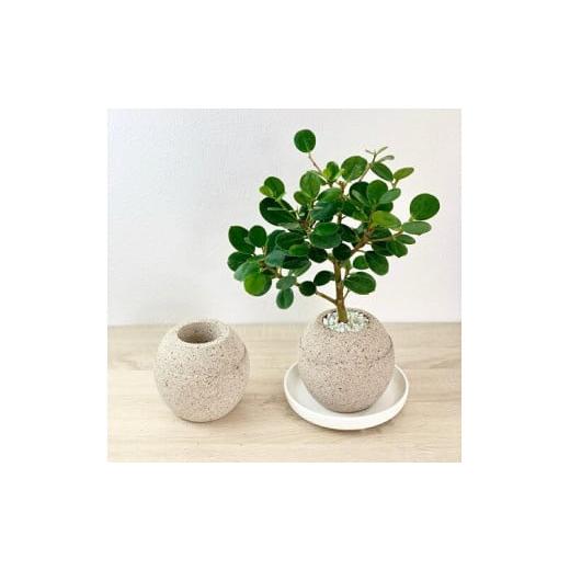ふるさと納税 雑貨・日用品 愛知県 高浜市 アクアプラントポットHACHI「玉(キ゛ョク)」白 白