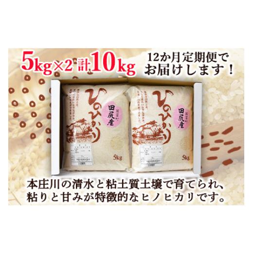 【最終値下げ】 ふるさと納税 宮崎県 国富町 ＜田尻産ヒノヒカリ10kg(5kg×2袋) 12か月定期便＞翌月中旬頃に第一回目発送（※8月は下旬頃） 【IQ3310609616】(116600円)