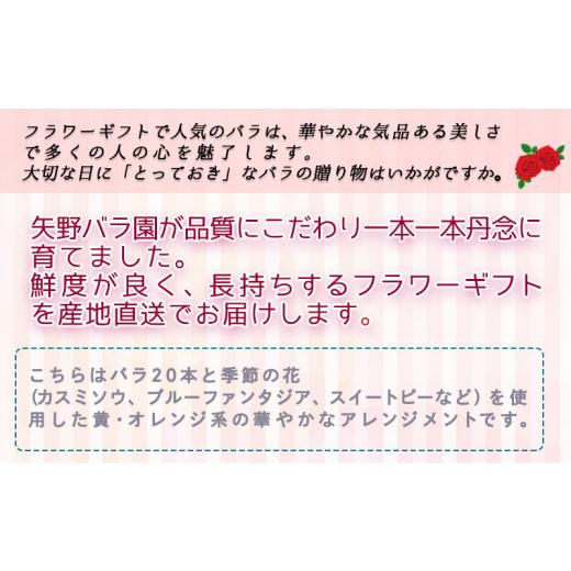 ふるさと納税 雑貨・日用品 花 宮崎県 都城市  お届け日を選べる バラのアレンジメント20本(黄・オレンジ)_17-3303-D_(都城市) フラワーアレンジメント バラ20…_3