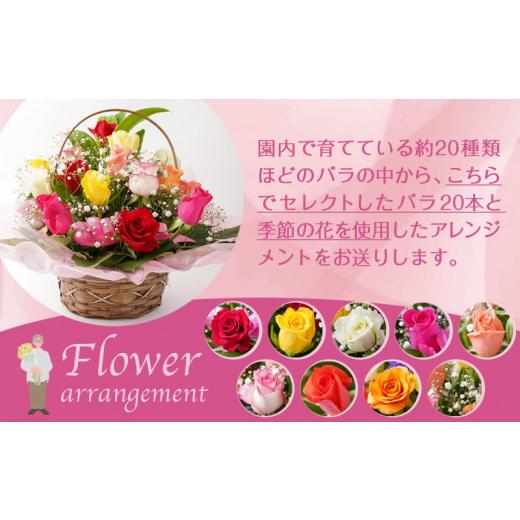 ふるさと納税 雑貨・日用品 花 宮崎県 都城市  お届け日を選べる バラのアレンジメント20本(ミックス)_17-3302-D_(都城市) フラワーアレンジメント バラ20本と…の画像