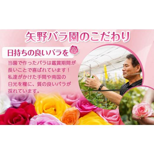 ふるさと納税 雑貨・日用品 花 宮崎県 都城市  お届け日を選べる バラのアレンジメント20本(ミックス)_17-3302-D_(都城市) フラワーアレンジメント バラ20本と…の画像