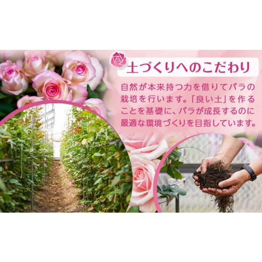 ふるさと納税 雑貨・日用品 花 宮崎県 都城市  お届け日を選べる バラのアレンジメント20本(ミックス)_17-3302-D_(都城市) フラワーアレンジメント バラ20本と…の画像