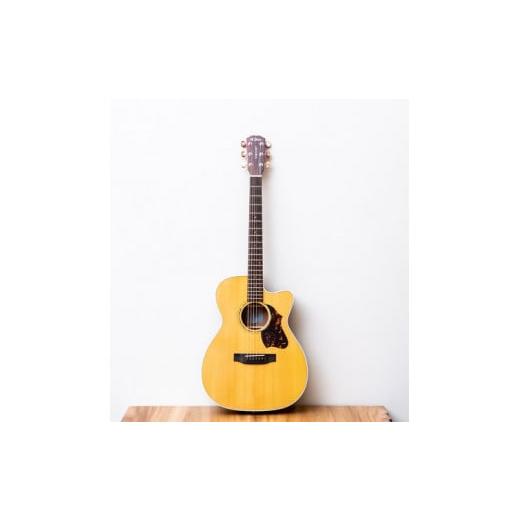 ふるさと納税 楽器 ギター・ベースギター 岐阜県 美濃加茂市