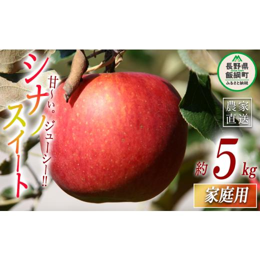 ふるさと納税 りんご 長野県 飯綱町 りんご シナノスイート 家庭用 5kg ヤマハチ農園 沖縄県への配送不可 2026年10月上旬頃から2026年11月上旬頃まで順次発送…