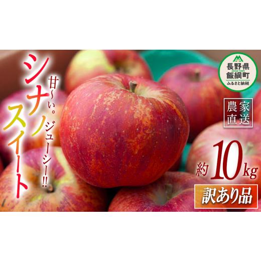 ふるさと納税 りんご 長野県 飯綱町 りんご シナノスイート 訳あり 10kg ヤマハチ農園 沖縄県への配送不可 2025年10月上旬頃から2025年11月上旬頃まで順次発送…