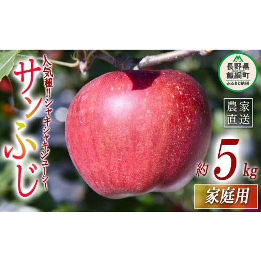 ふるさと納税 りんご 長野県 飯綱町 りんご サンふじ 家庭用 5kg ヤマハチ農園 沖縄県への配送不可 2026年11月中旬頃から2027年1月上旬頃まで順次発送予定 令…