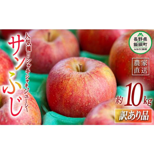 ふるさと納税 りんご 長野県 飯綱町 りんご サンふじ 訳あり 10kg ヤマハチ農園 2026年11月中旬頃から2027年1月上旬頃まで順次発送予定 令和8年度収穫分 BLOF…