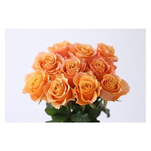 ふるさと納税 滋賀県 守山市 Flower Bouquet(バラのブーケ)10本 オレンジ系 オレンジ系